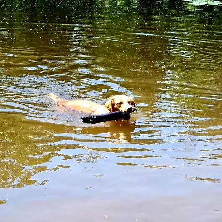 Prázdninový dům Ferienhaus Darlingerode *