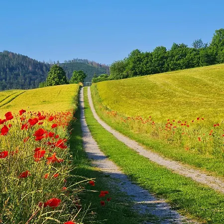 Ferienhaus Darlingerode Darlingerode