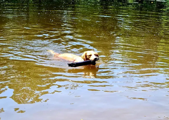 Prázdninový dům Ferienhaus Darlingerode *