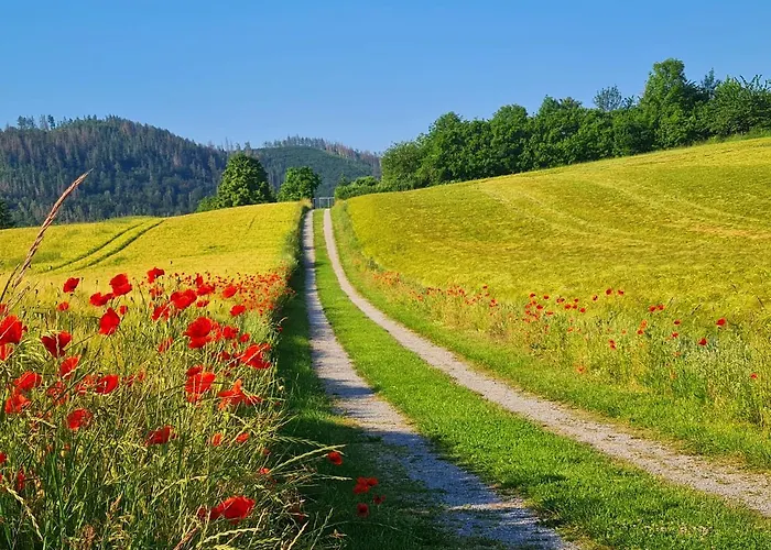 Ferienhaus Darlingerode Darlingerode